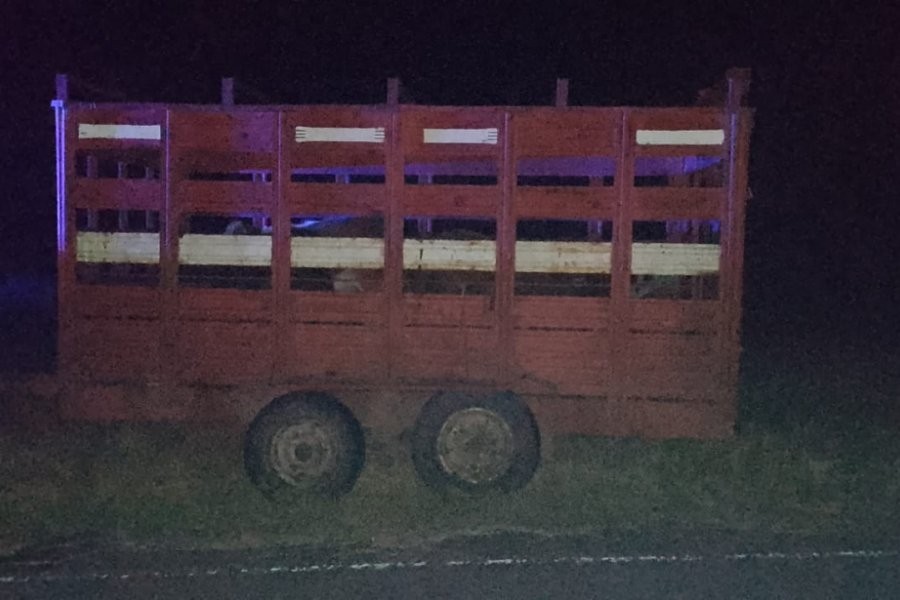 Corrientes: trasladaba animales sin las documentaciones correspondientes y fue demorado por la Policía